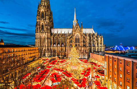 Christmas Markets on the Rhine River 2022