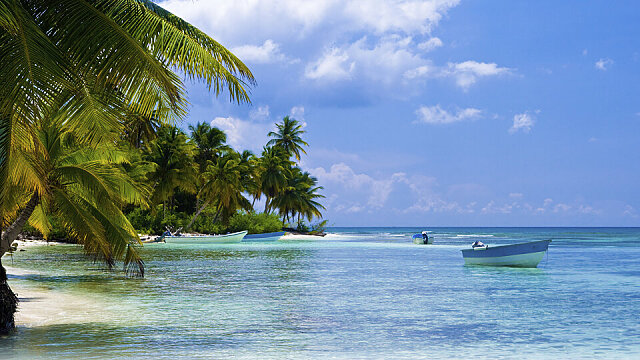 cuba beach with palm trees fth