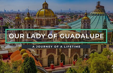 8 Day Our Lady of Guadalupe & Colonial Mexico Pilgrimage | Sept. 19, 2025