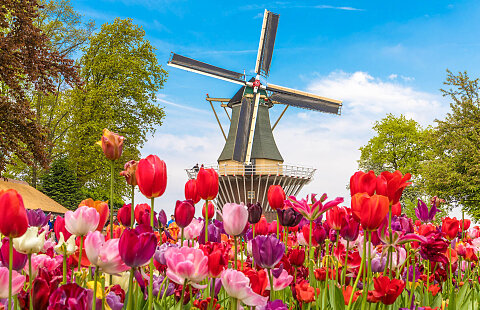 Tulip Time Cruise 2023 with Optional Amsterdam Pre-Cruise Stay
