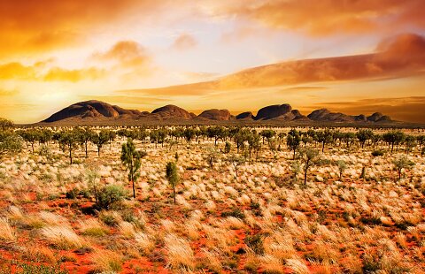 Expedition Australia:​ Sydney & the Outback | Feb. 20, 2024